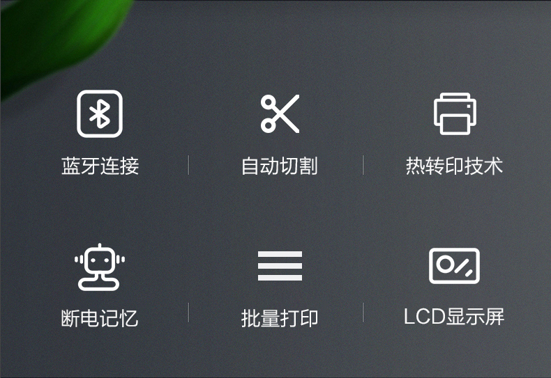碩方LP5125手持式標(biāo)簽機(jī)